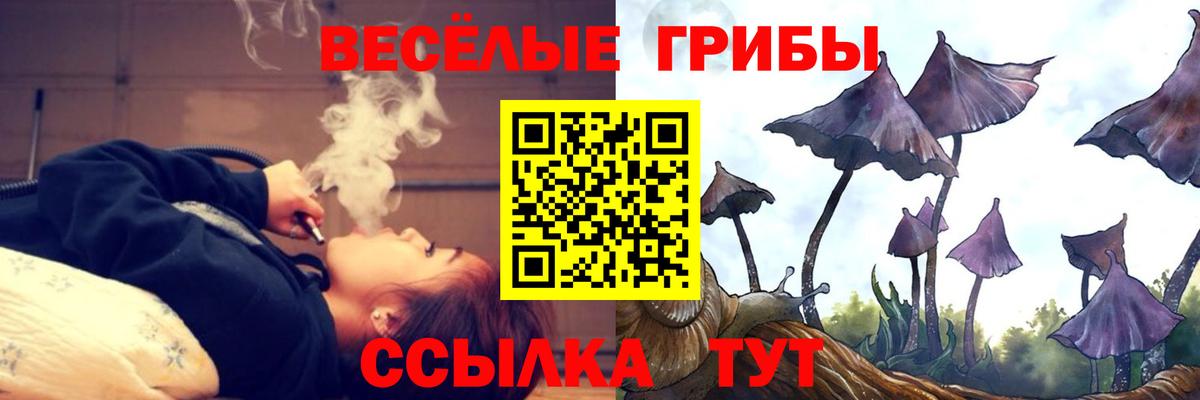 Богородск  Галлюциногенные грибы Magic Shrooms  Псилоцибиновые грибы мухоморы  Вход с VPN 
